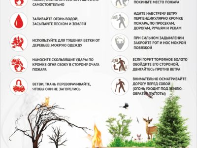 Правила поведения населения при лесных пожарах